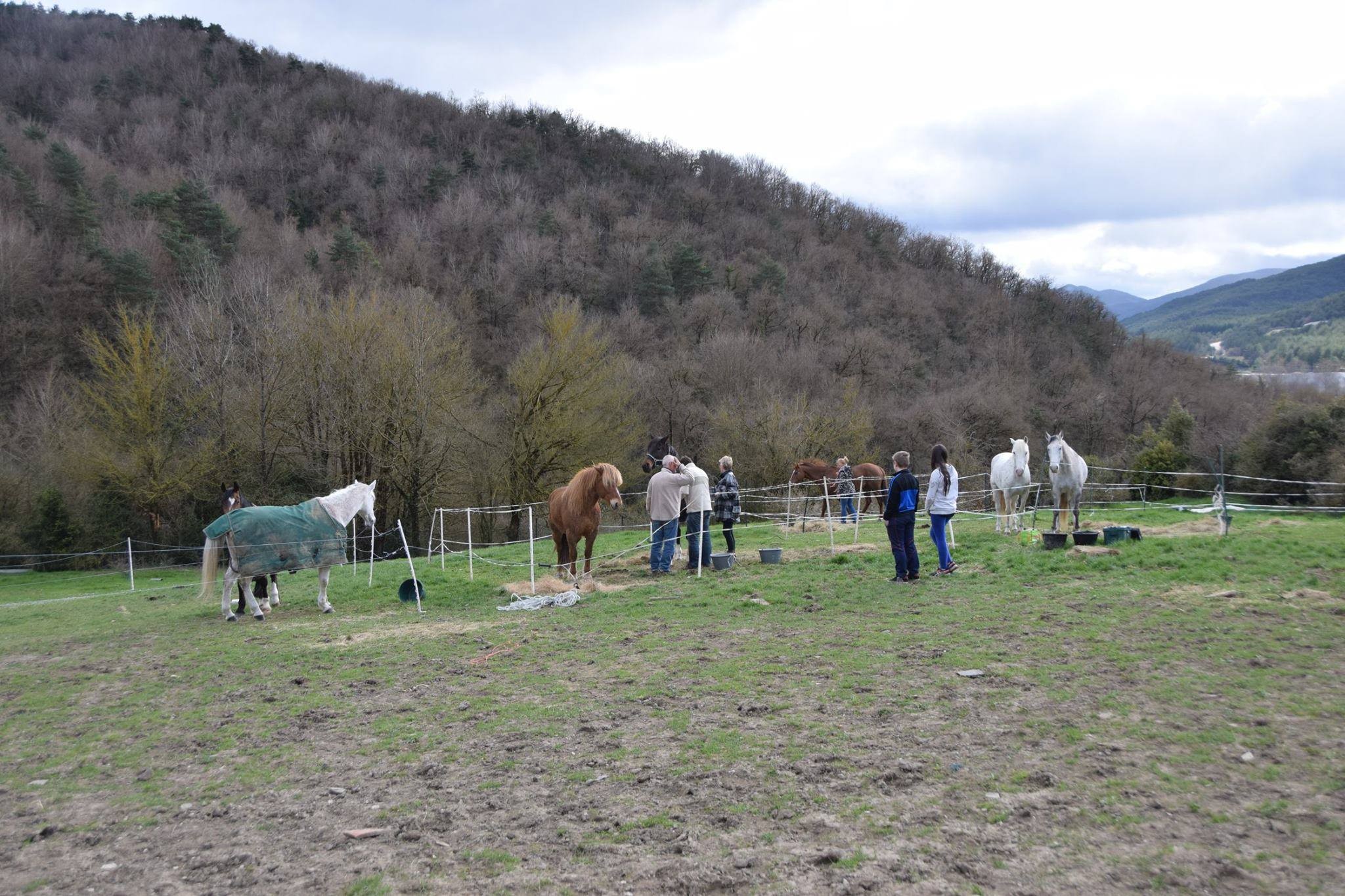 Camino del Rocío a través de Navarra